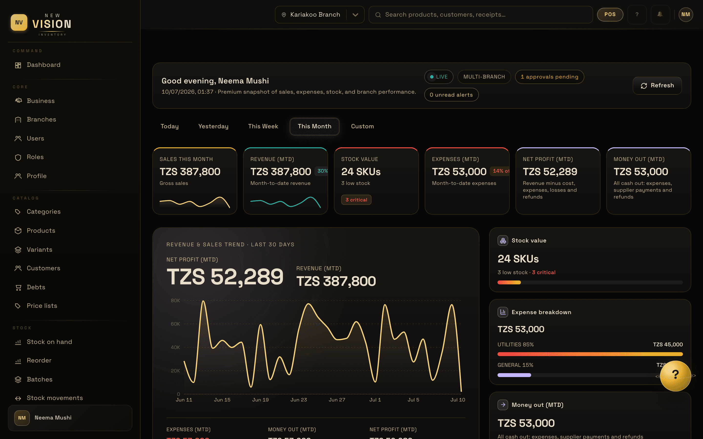 New Vision Inventory dashboard showing today's revenue, low-stock alerts, and top products
